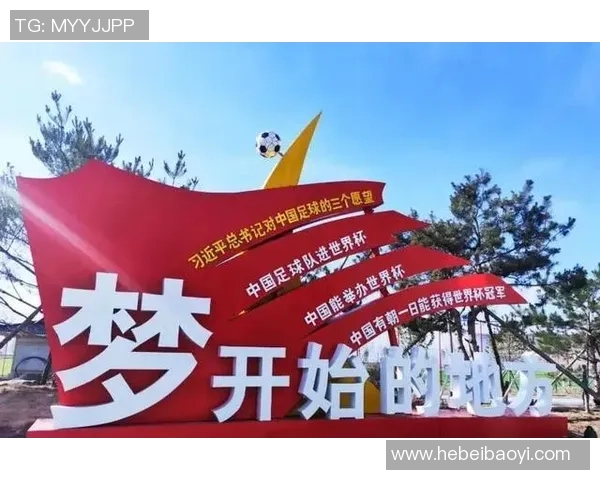 西街的足球明星如何改变了小镇的命运与梦想